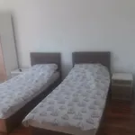 Piccola Zadar